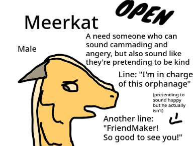 Meerkat Audition