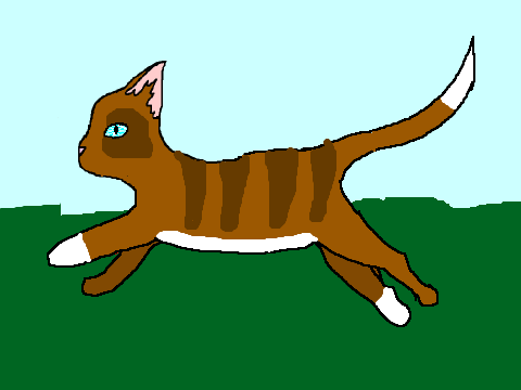 Cat run cycle remix
