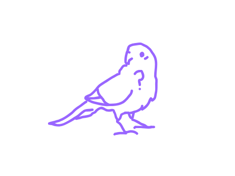 CEO CHECKS IN (NEW BIRDS?)