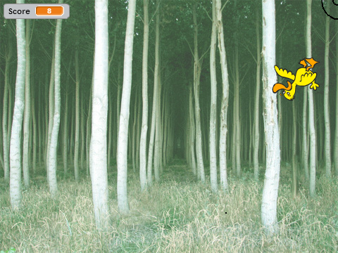 Duck Hunting!