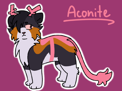 Main sona for real