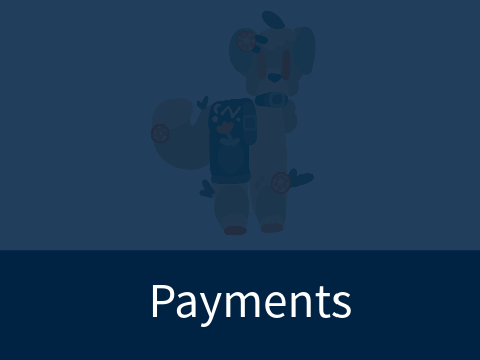 ✦ Payments [1/6] 