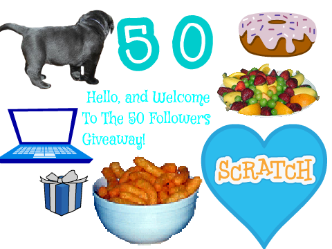 50 Followers Giveaway!