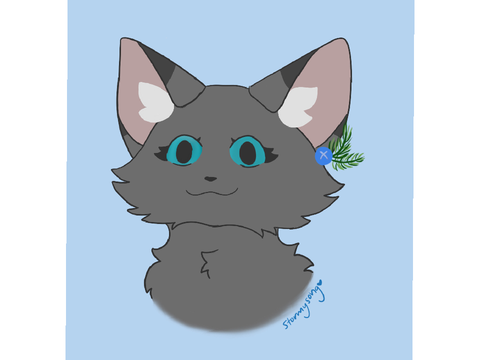 Gift for @Stormysong_Med_Cat