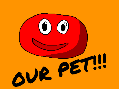 Our pet