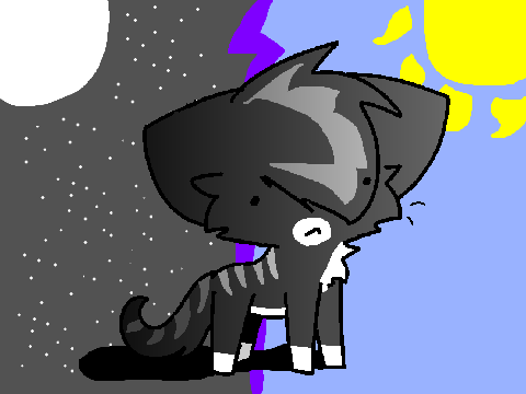 ~Surprised CC~ OPENN Entry