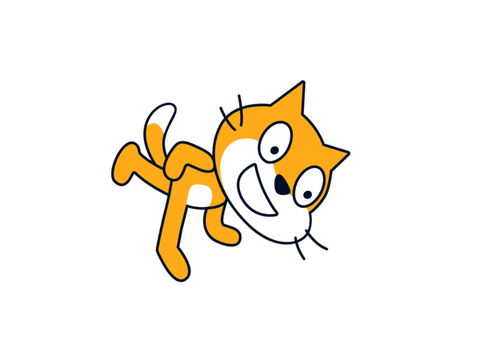 Spinning Cat