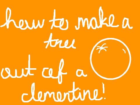 {DIY} How to make a tree out of a Clementine! 