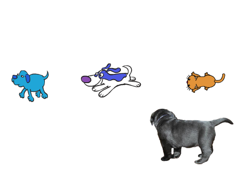 Chase the dogs