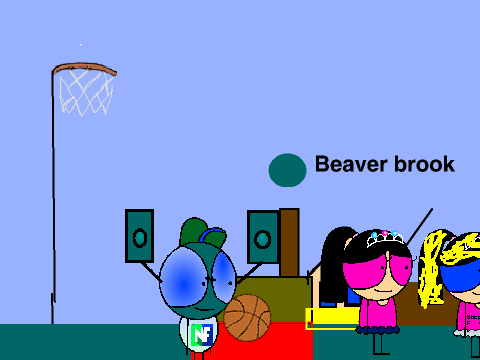 Bross-Ball Hoops