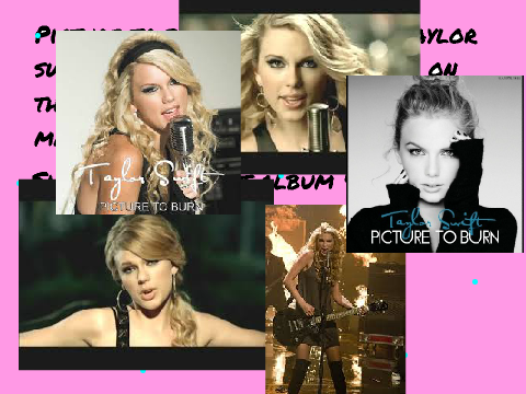#Picture To Burn-Taylor Swift