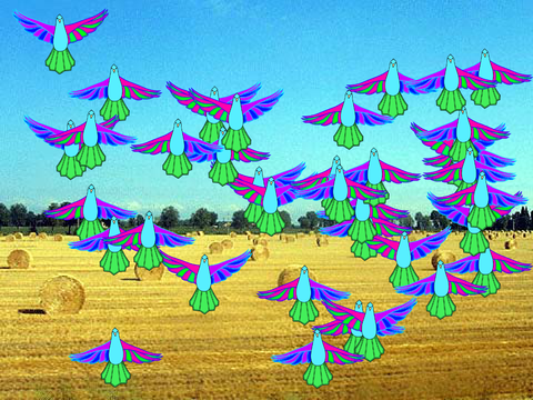 2023-11-20 murmuration
