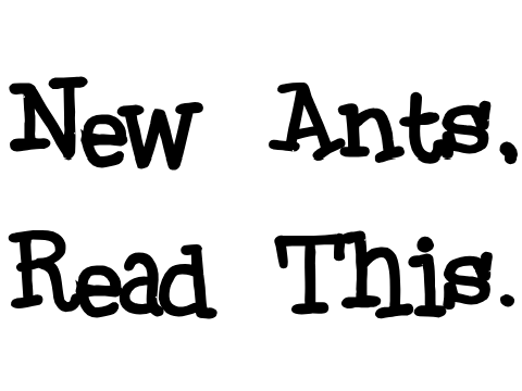 New Ants, Read This