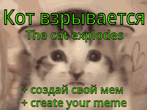 Кот взрывается (The cat explodes) 