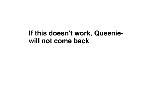 BRING Queenie- BACK remix
