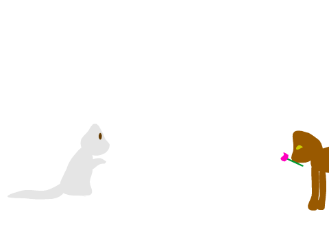 A Remarkable Love Story Between Two Cats