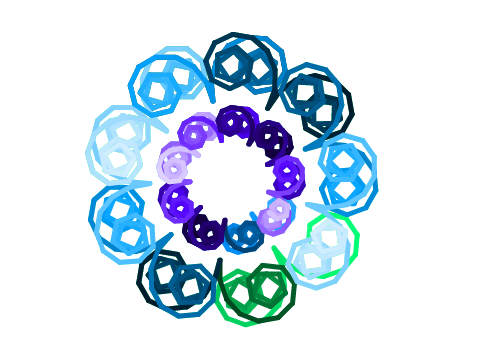 Pen Flower