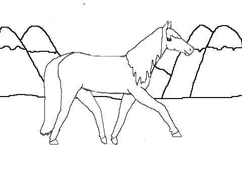 Color horse CC
