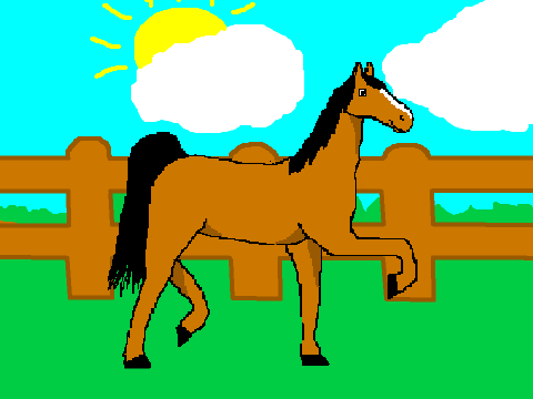 Horse 