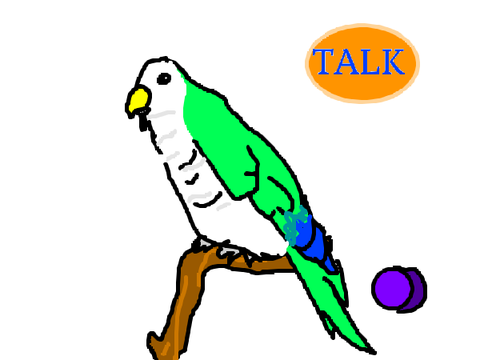 Virtual Pet Parrot