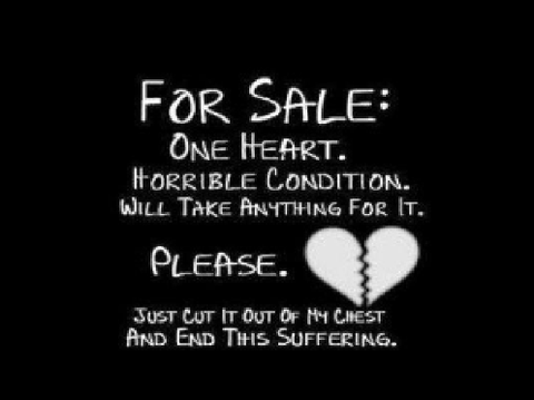 pleas do me the favor 