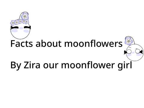 Moonflower facts