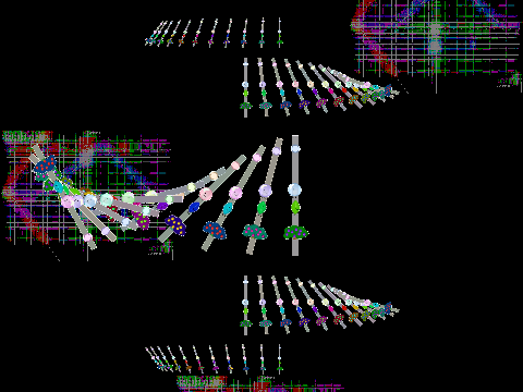 Visual Species Relatives ¼