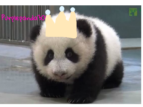Sign if you are against PANDA POACHING! REMIX REMIX remix