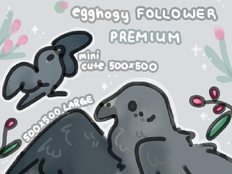 Egghogy follower ✨ PREMIUM 2023~2024 ✨