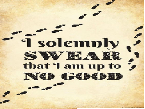 I solemnly swear