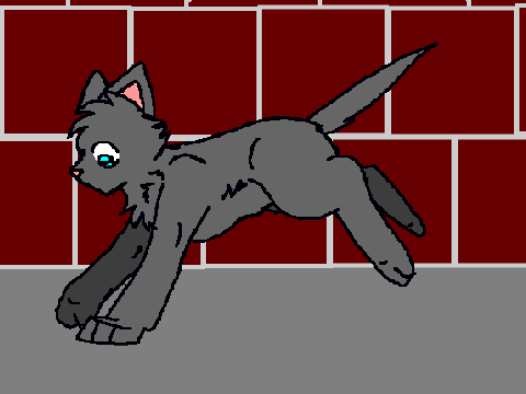 Poolfur Running from Bloodclan