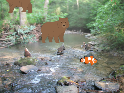 Fish catcher