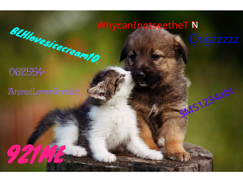 Sign To Stop Animal Abuse! remix remix remix remix remix