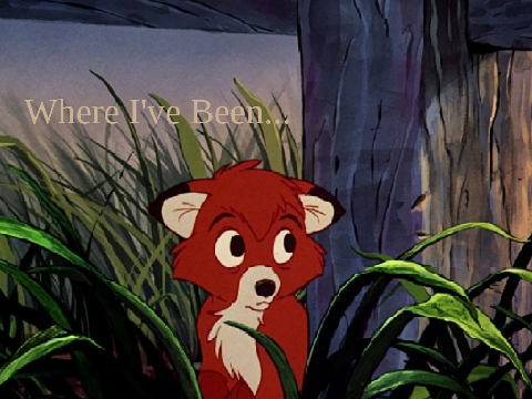 Where I've Been...