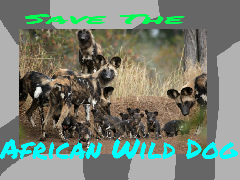 I Will Save the African Wild Dog!