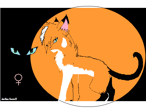 charatcher fox