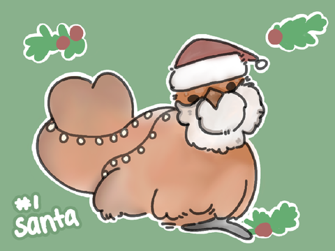 November to December rotating CHRISTMAS DTA