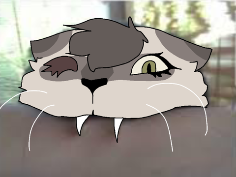 [] Payment Dump lmao []