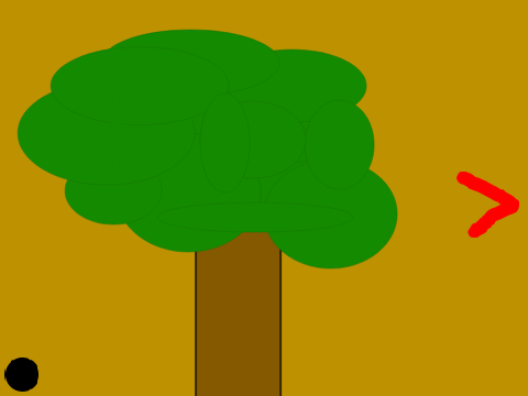 Find the Sonic's