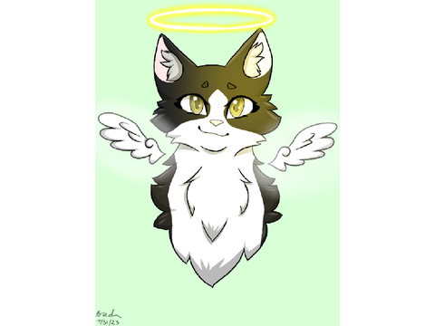 ~In Loving Memory of a Beloved Friend~