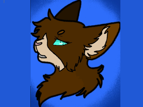 • *reappears for a project* •