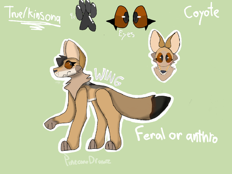 [ wing ref + IMPORTANT PLEASE READ ]