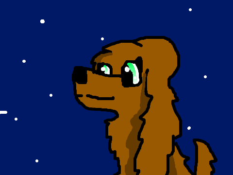 animal CC remix