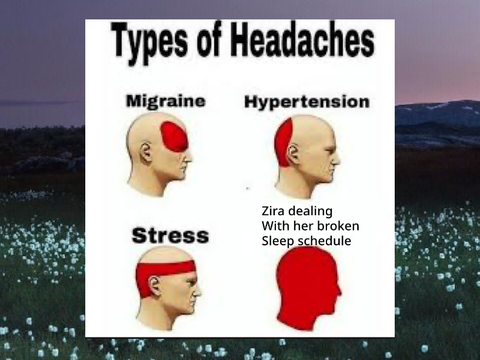 A meme about myself 