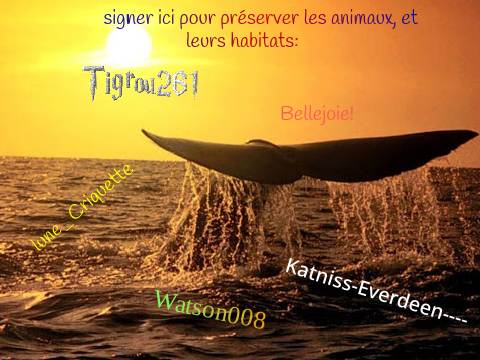 Pour les animaux!!!!!!!!!!!!!!!!! Remixer et ajouter votre pseudo remix remix remix remix