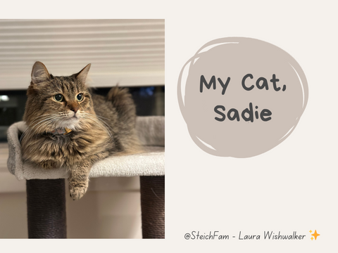 My (Former) Cat