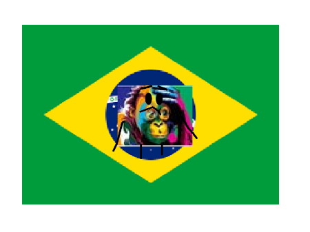 My twin brother gose to brazil! XD