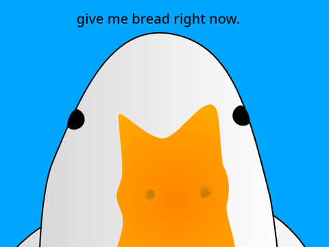 duck- artwork
