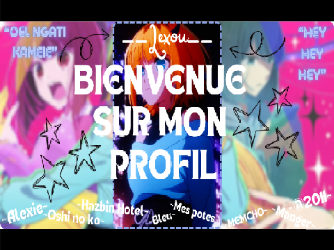 ~☆ Welcome to my profil ☆ Presentation ~