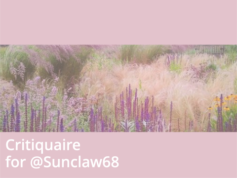 critiquaire for @Sunclaw68